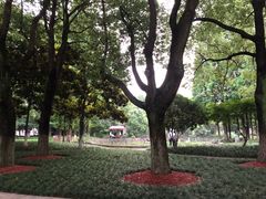 -中共上海市委党校 上海行政学院