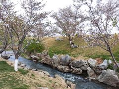 -羊山湖公园