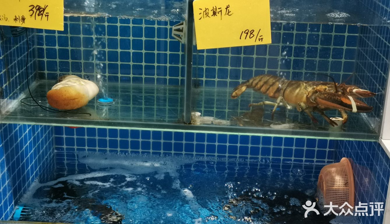 2.99r的核桃调蛋