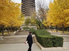 -玲珑塔公园