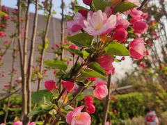 -元大都城垣遗址公园