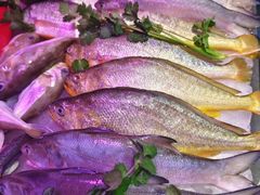 -东江海鲜大排档·潮汕菜·砂锅粥