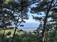 -星海湾跨海大桥