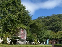 -广州白江湖森林公园