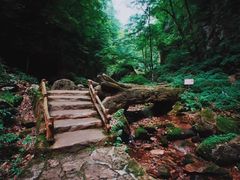 -五女峰国家森林公园