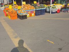 -上海龙吴水胜海发市场