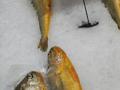 -盒马鲜生(联投广场店)