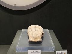 -马鞍山市博物馆