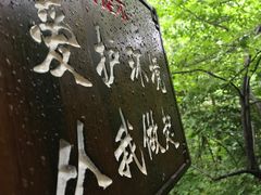 -青峰峡国家森林公园