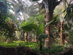 -呀路古热带植物园