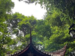 -都江堰普照寺