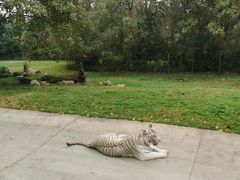 -西安秦岭野生动物园