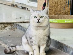 -梁掌门老梁干挑(凤凰路店)