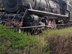 -长春市南湖公园