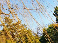 -燕儿岛山公园