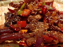 -守柴炉烤鸭(科华中路王府井店)