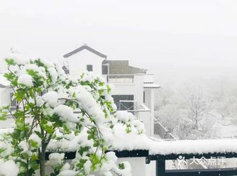 倚山观雪，中原人的冬季度假胜地！