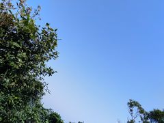 -海口火山口国家地质公园
