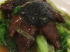 -新兴家喻酒家·羊城名宴(昌岗店)