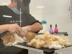 -comecome来吧宠物(奥克斯中心店)