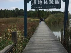 -溱湖国家湿地公园