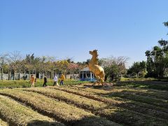-广东花都香草世界旅游度假区