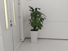 -极简口腔(总院)