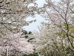 -白塘生态植物园