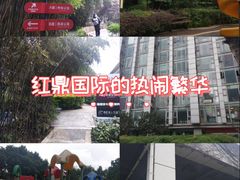-红鼎国际名苑-C座