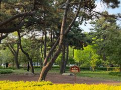 -长春市南湖公园