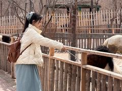 -水上乐园·欢乐世界