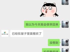 -PETKIT 小佩宠物·低压洗护·美容·寄养(安远店)