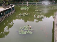 -碧江金楼