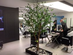 点击看大图 -付军剪艺JF ProSalon