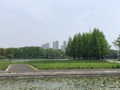 -尚贤河湿地