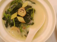 上汤枸杞叶-梦都海鲜酒家(万达广场江桥店)