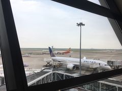 -上海浦东国际机场-T2航站楼