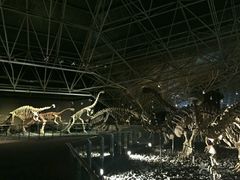 -世界恐龙谷景区