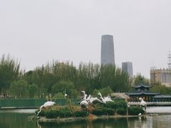-雁滩公园