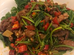 姜丝炒黑山羊-七叔家宴家常广西菜(明秀东路店)