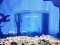 -多彩贵州城极地海洋世界