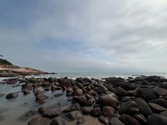 -广东惠东海龟国家级自然保护区
