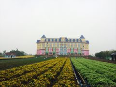 iphone_upload_pic-广州花之恋城堡酒店