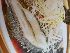 虹鳟鱼-归园田居农家院