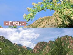 -沉浸北京·团建旅行·密室剧本杀·年会会议轰趴拓展