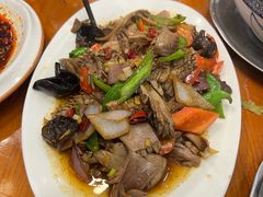 -春发芽葫芦头(科技二路旗舰店)