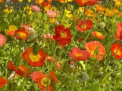 -无锡市市民中心