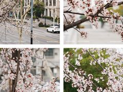 -武汉马哥孛罗酒店