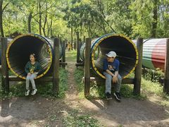 -溱湖国家湿地公园