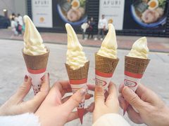 -富豪雪糕车流动点(尖沙咀店)